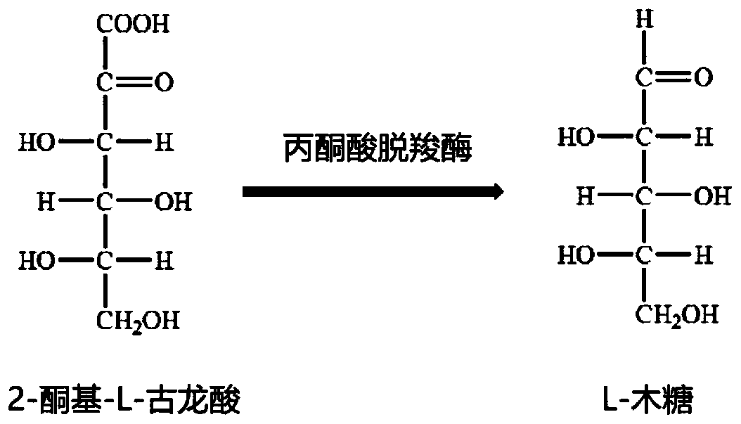 A kind of enzymatic preparation method of l-xylose