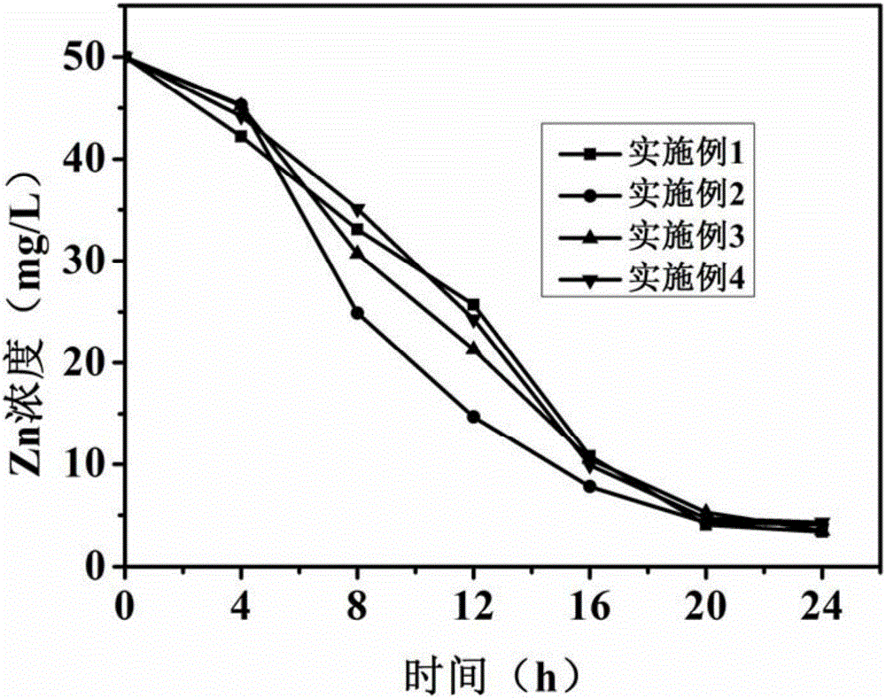 Method for removing sulfate and Zn(II) wastewater by virtue of synergism of spongy iron and microorganisms