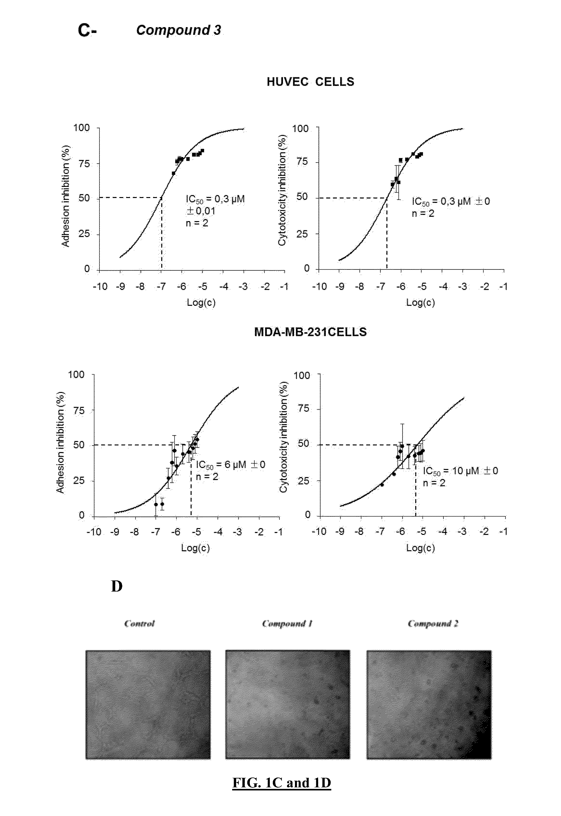Pharmaceutical compositions comprising neuropilin inhibitors, and their use for the prevention and/or treatment of angiogenic disorders and cancers