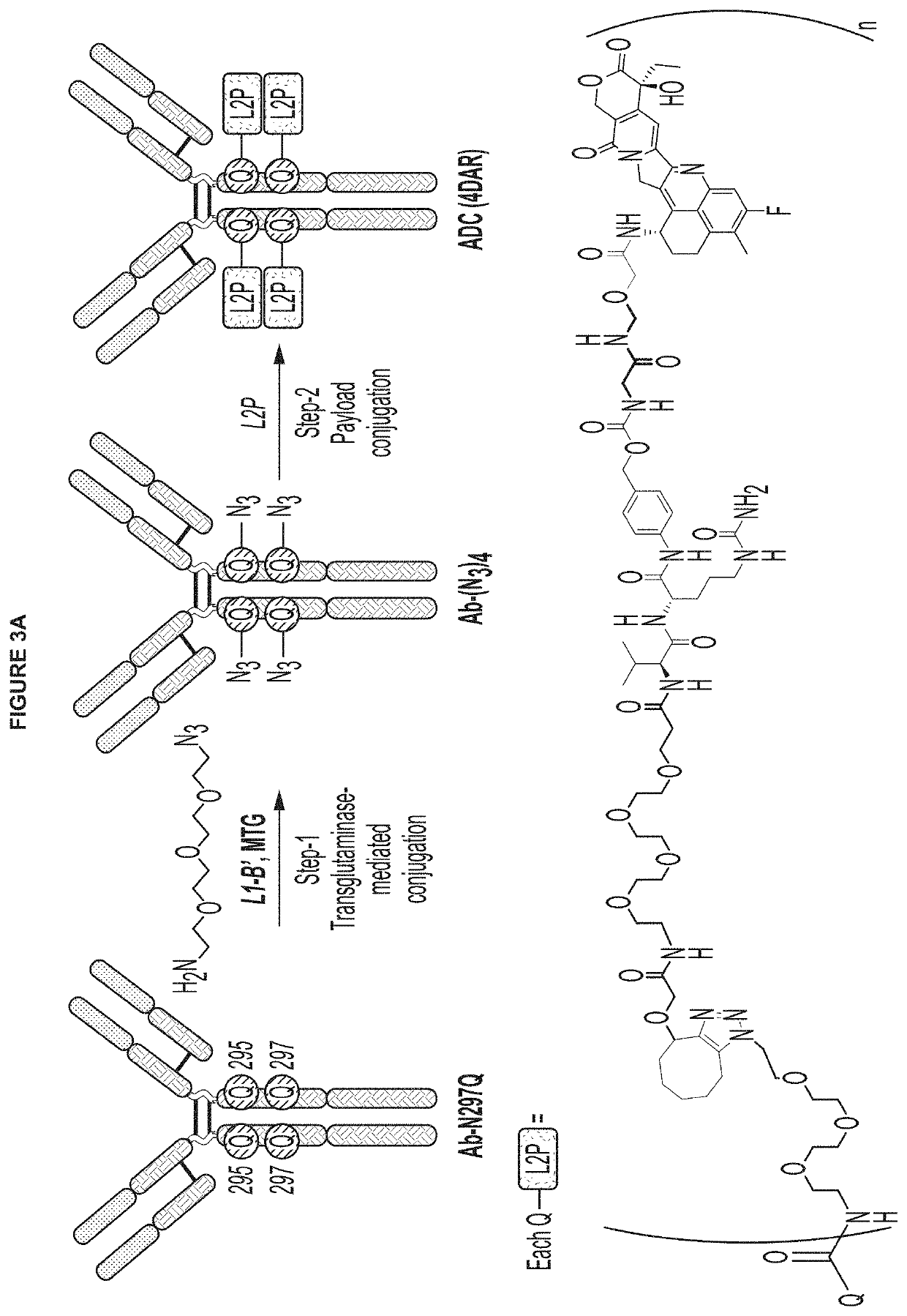 Protein-drug conjugates comprising camptothecin analogs and methods of use thereof