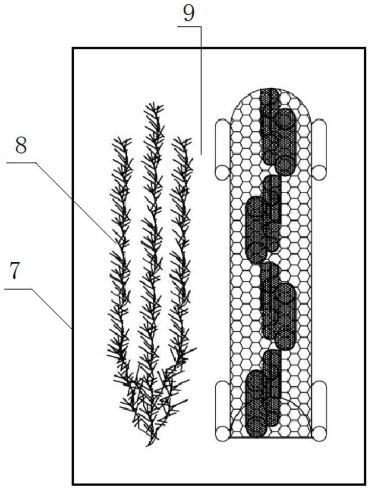 A kind of indoor soilless Procambarus clarkii culture method and its artificial cave