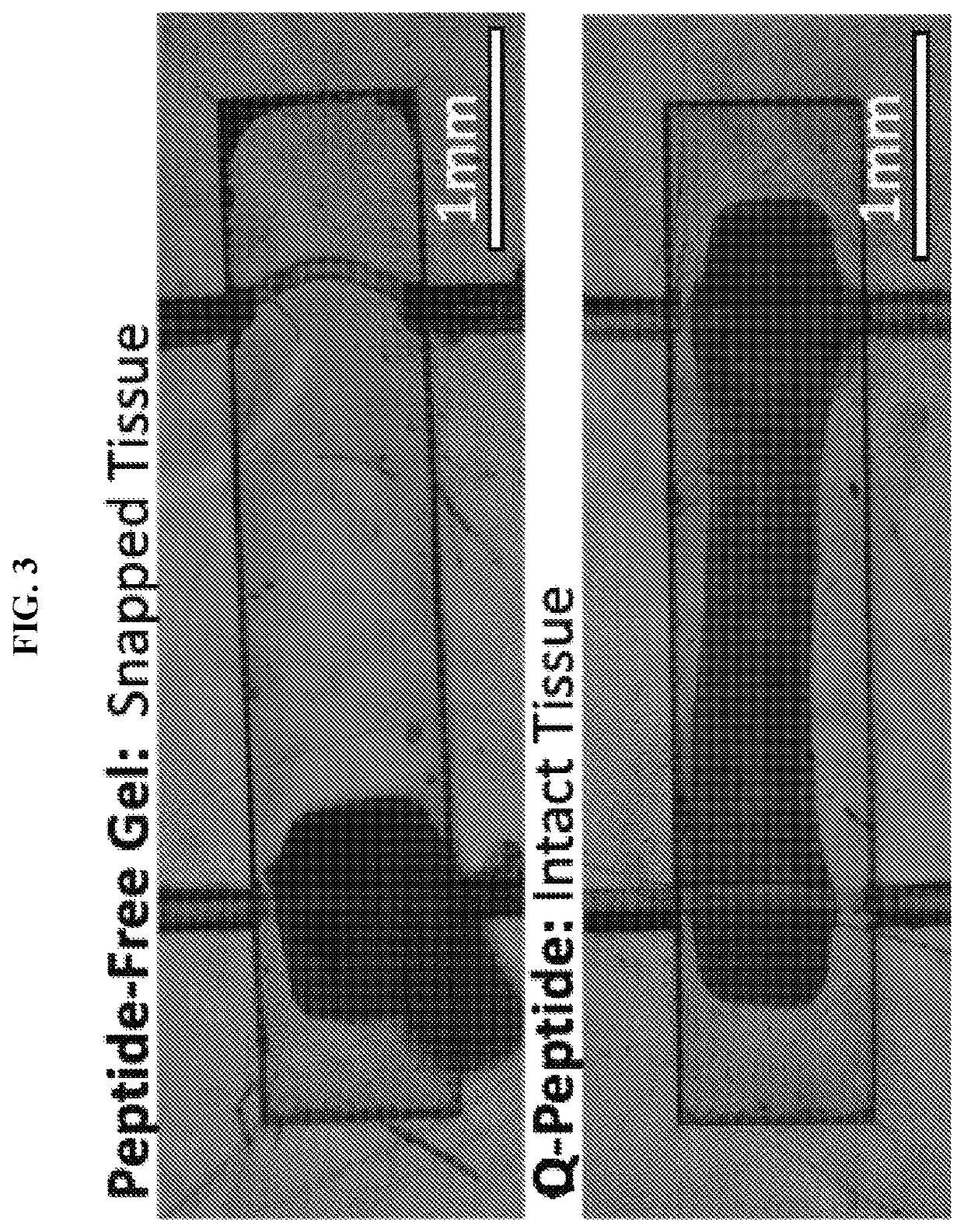 Compositions and methods of use for treatment or improvement of the condition and appearance of skin