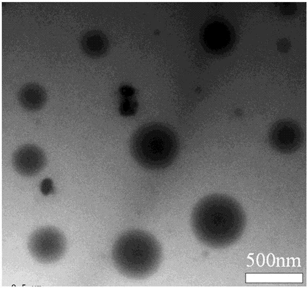 Solid-state polymer electrolyte membrane material with continuous ion transfer nanometer channels and preparation method for solid-state polymer electrolyte membrane material