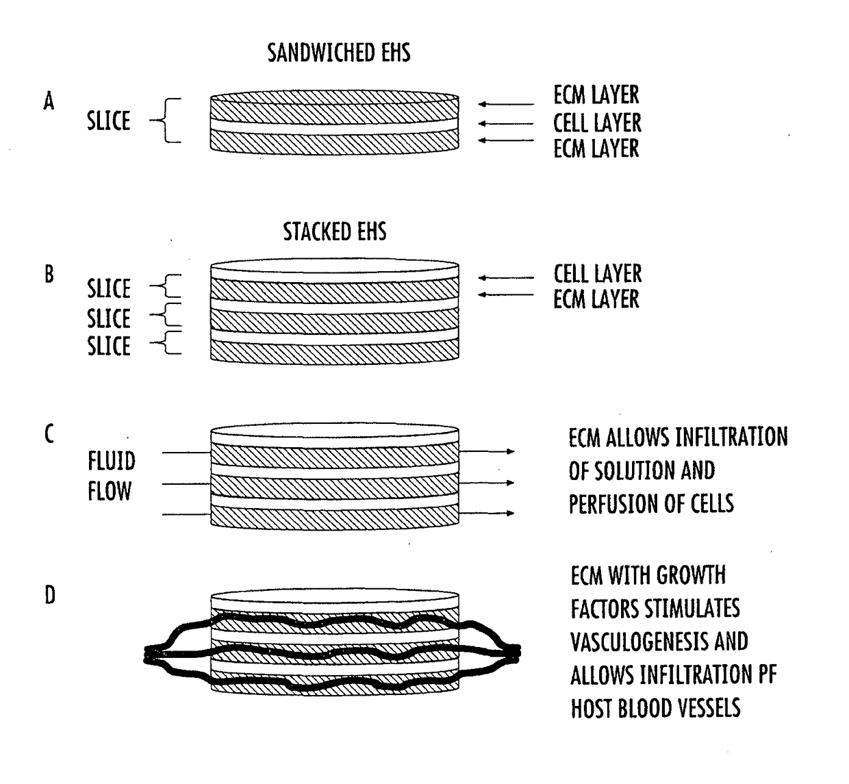 Engineered cardiac derived compositions and methods of use