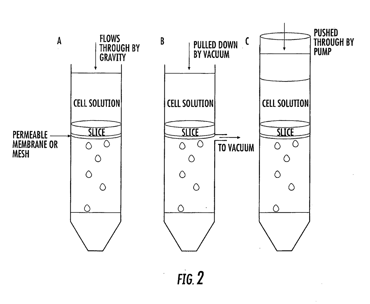 Engineered cardiac derived compositions and methods of use