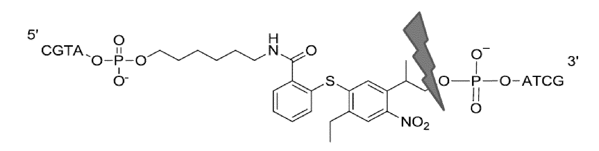 Photocleavable linker molecules with diarylsulphid backbone for transient bioconjugate synthesis