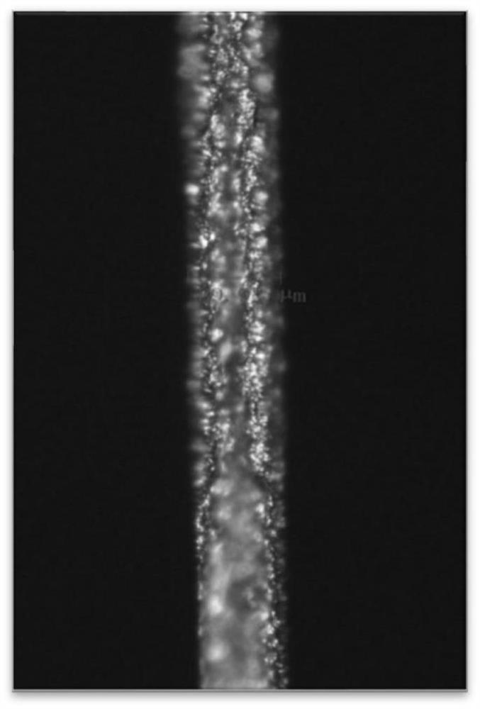 A processing method of stainless steel foil, stainless steel foil and flexible display device