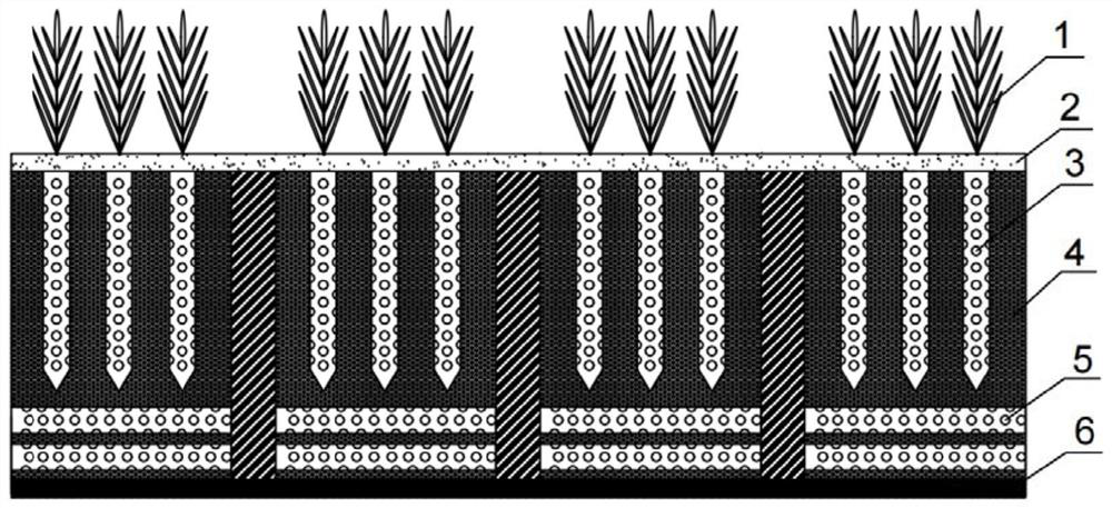 Water purification and greening integrated sponge body permeable paving structure