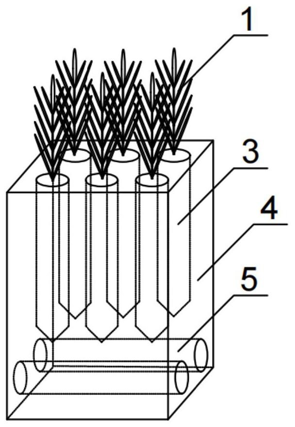 Water purification and greening integrated sponge body permeable paving structure