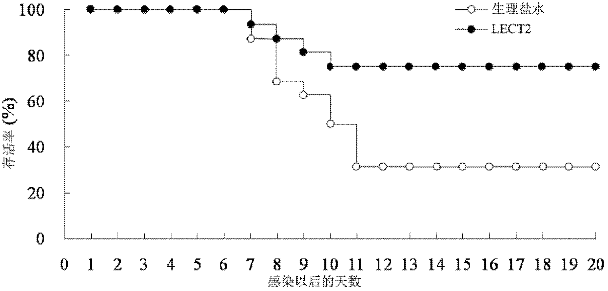 Application of LECT2 protein in preparation of antiviral drugs