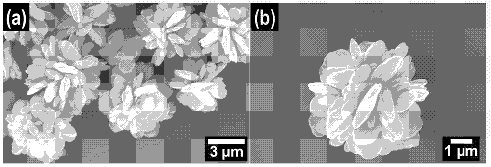 Preparation method of three-dimensional flower-shaped structure alpha-type ferric oxide