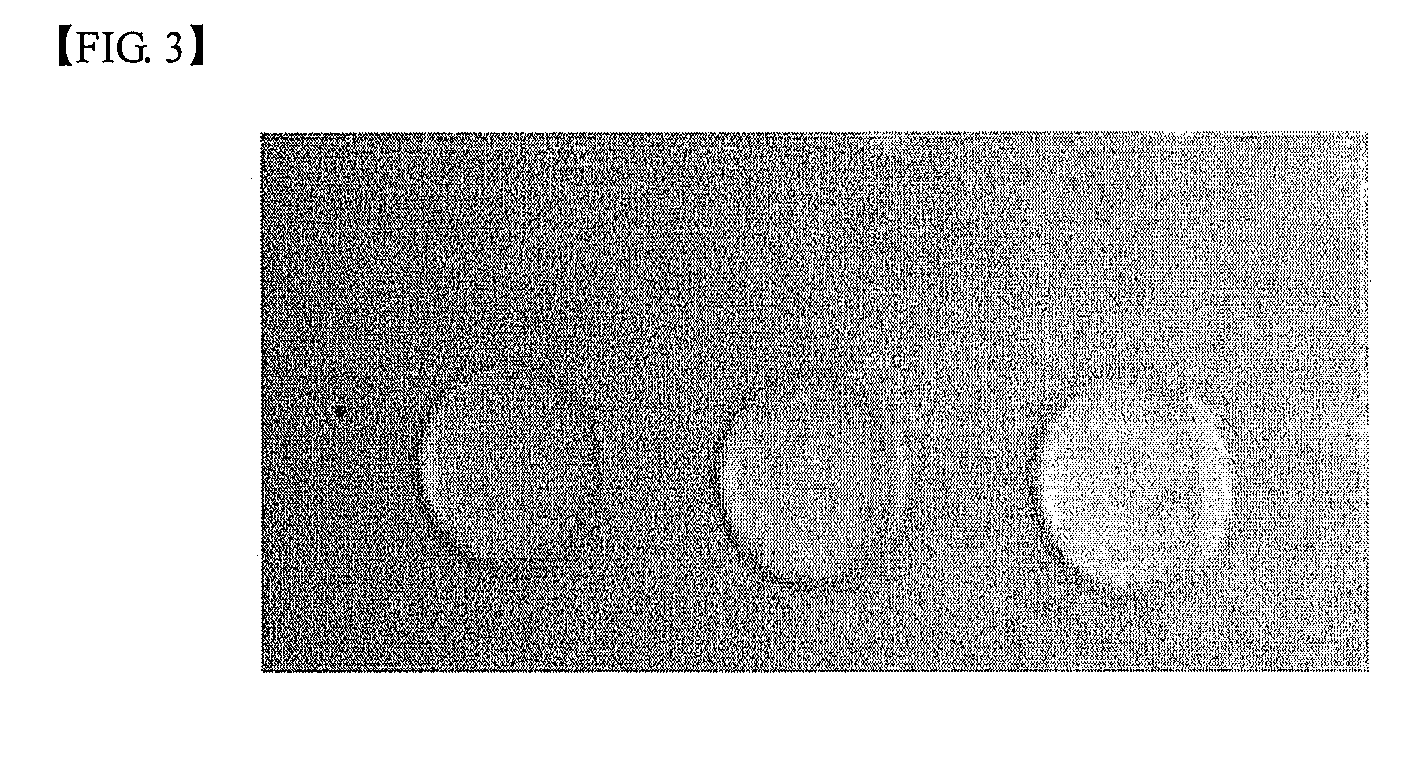 Liquid Crystal Aligning Agent and Liquid Crystal Alignment Layer Formed Using the Same