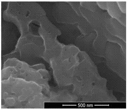 Preparation method of mildew-preventing and freshness-preserving PVA coating film