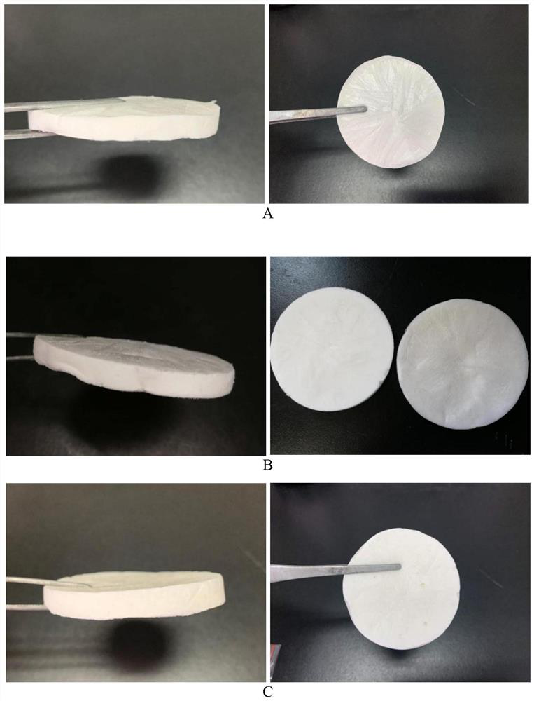 Chitosan-based polyelectrolyte composite hemostatic sponge, preparation method and application