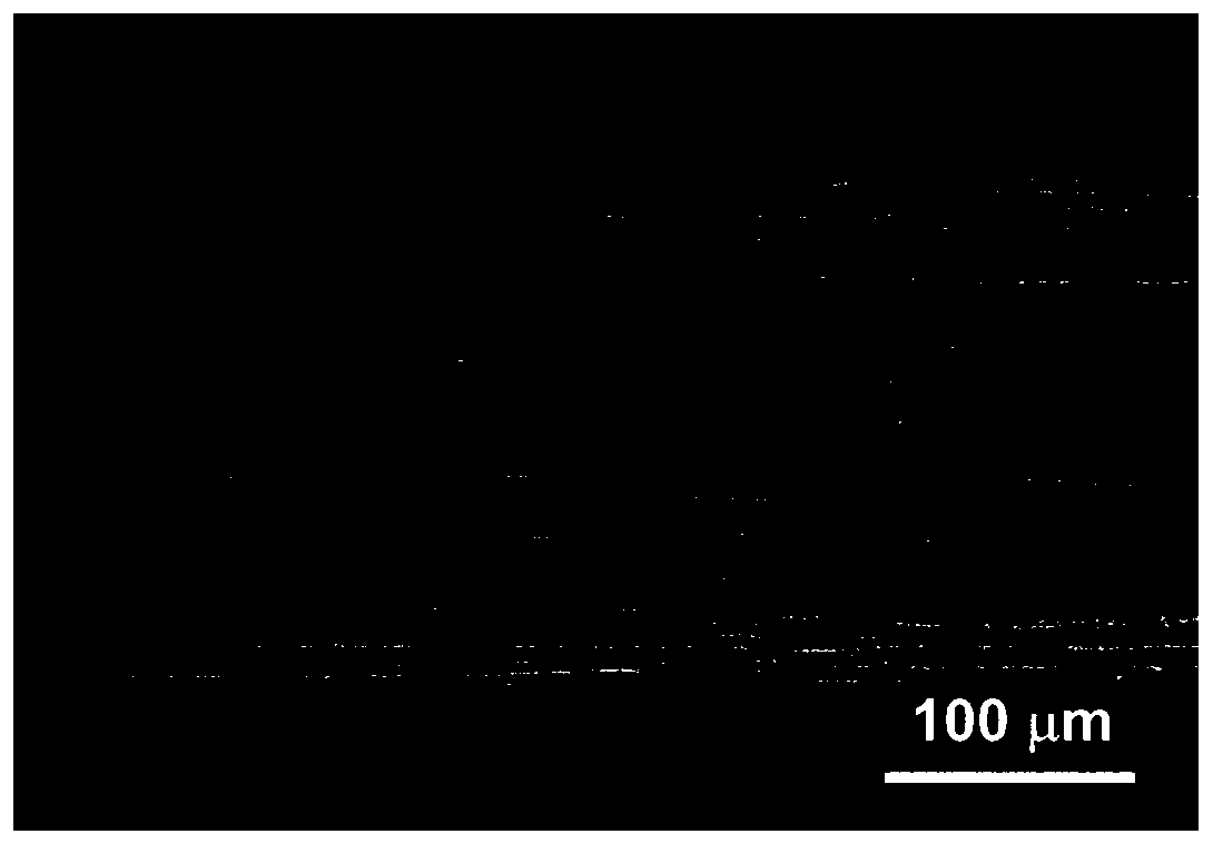 A nitrogen-doped ordered porous highly conductive graphene fiber and its preparation method and application