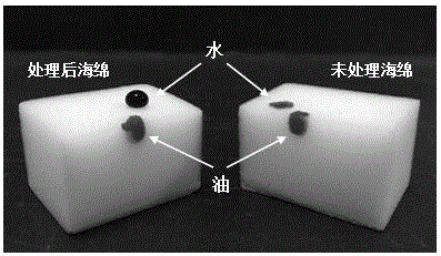 Method for preparing efficiently hydrophobic and oil-absorbing sponge with fluorine-containing silane coupling agent as cross-linking agent