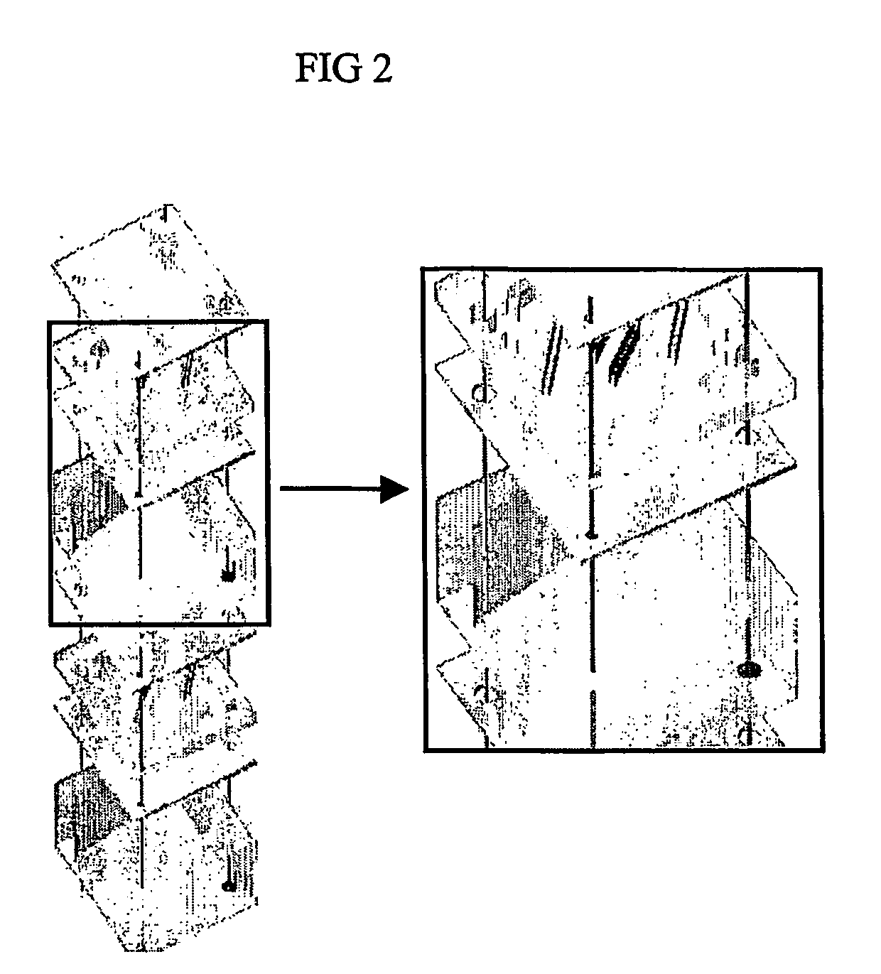 Nanotopographic Compositions and Methods for Cellular Organization in Tissue Engineered Structures