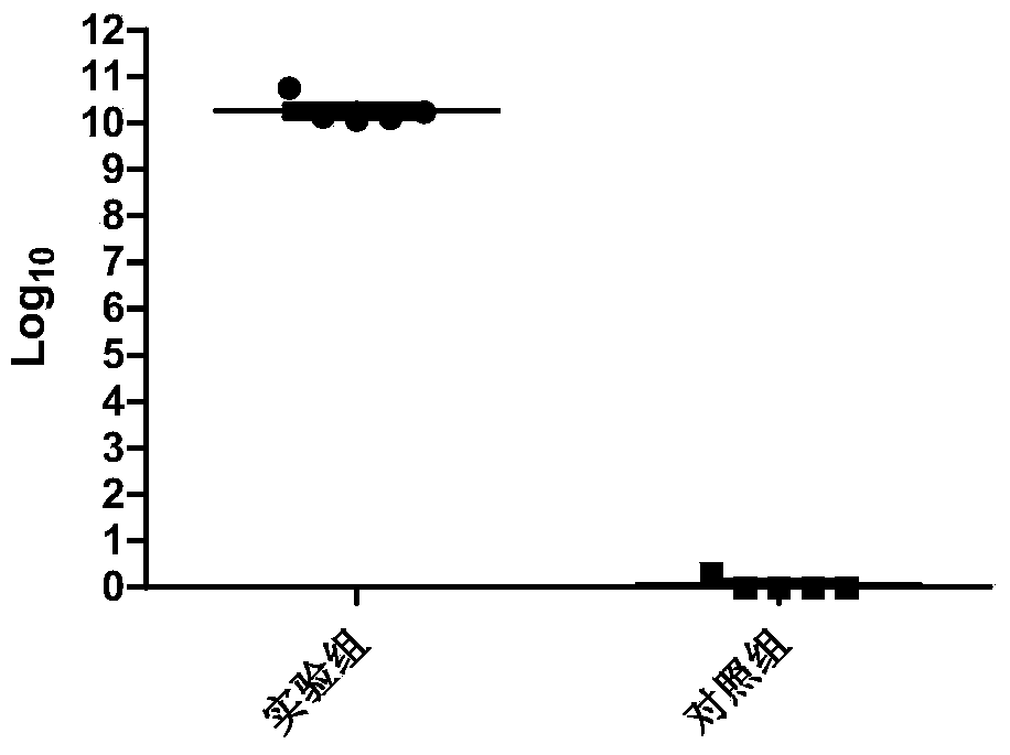 Building method of SA pneumonia model