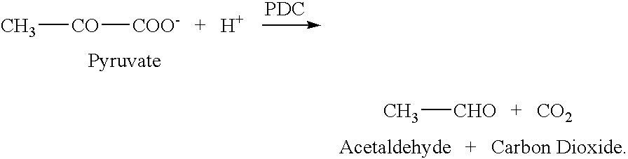 Enzymatic decarboxylation of 2-keto-L-gulonic acid to produce xylose