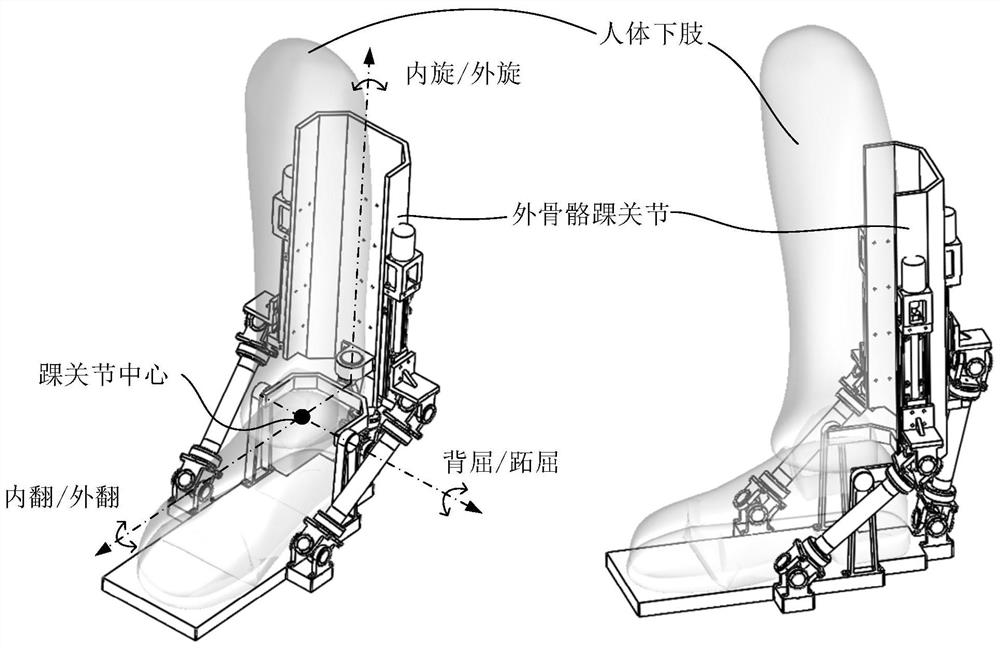 An exoskeleton robot ankle joint with three flexible drive branches