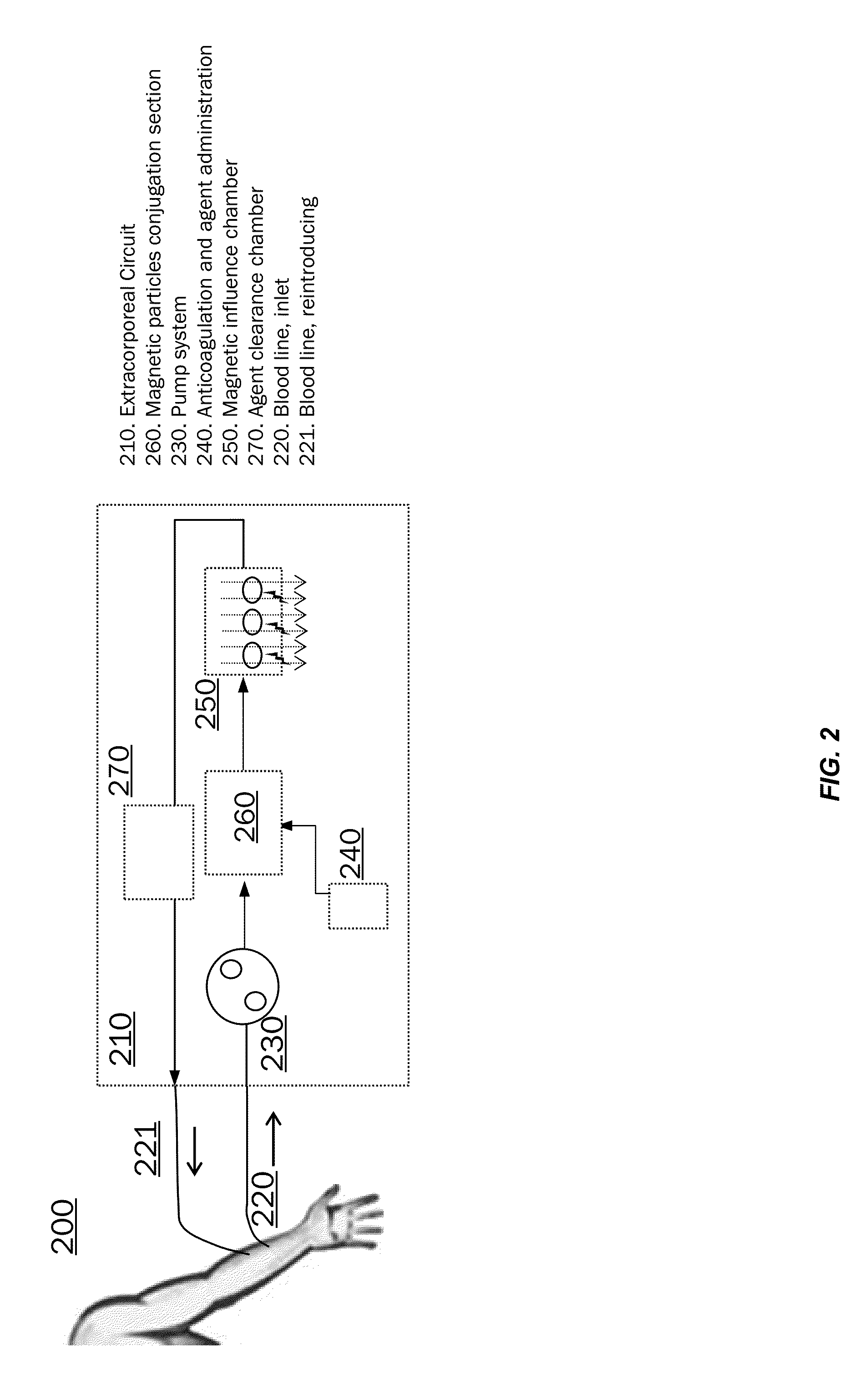 Treatment of circulating tumor cells using an extracorporeal device