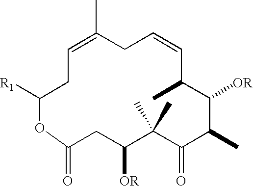 Method for synthesizing epothilones and epothilone analogs