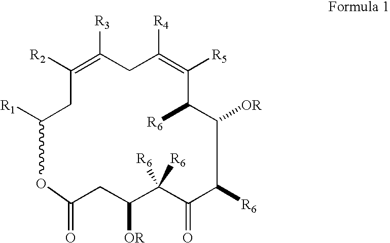 Method for synthesizing epothilones and epothilone analogs