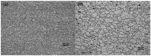 Low-cost, high-strength and high-toughness wrought magnesium alloy and preparation method thereof