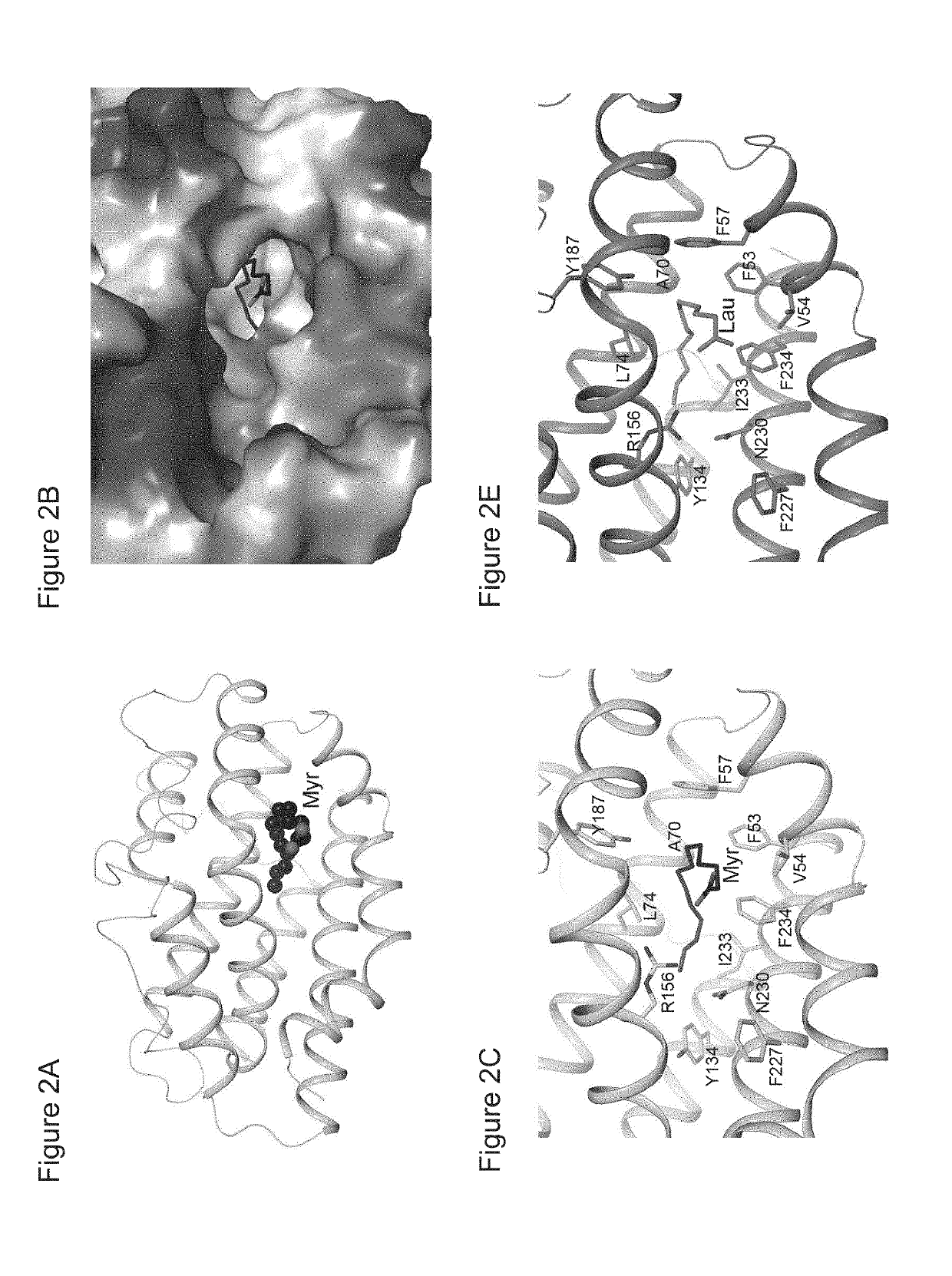 Method for significantly increasing lentiviral production