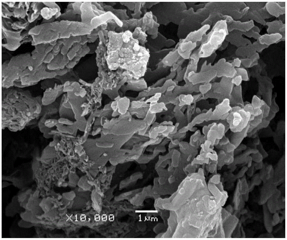 Method for preparing porous graphite-phase carbon nitride material