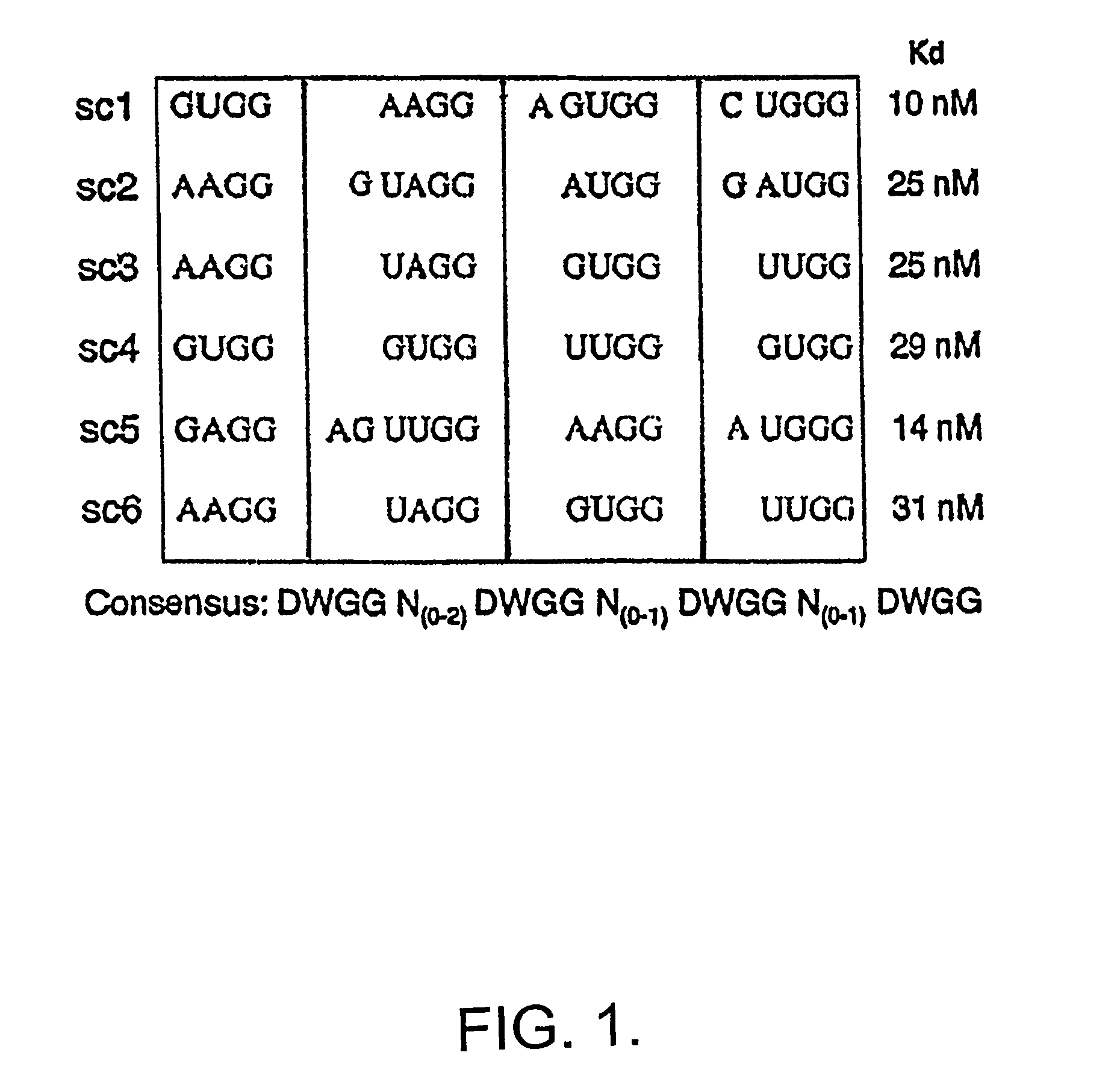 Method and identification of downstream mRNA ligands to FMRP and their role in fragile X syndrome and associated disorders