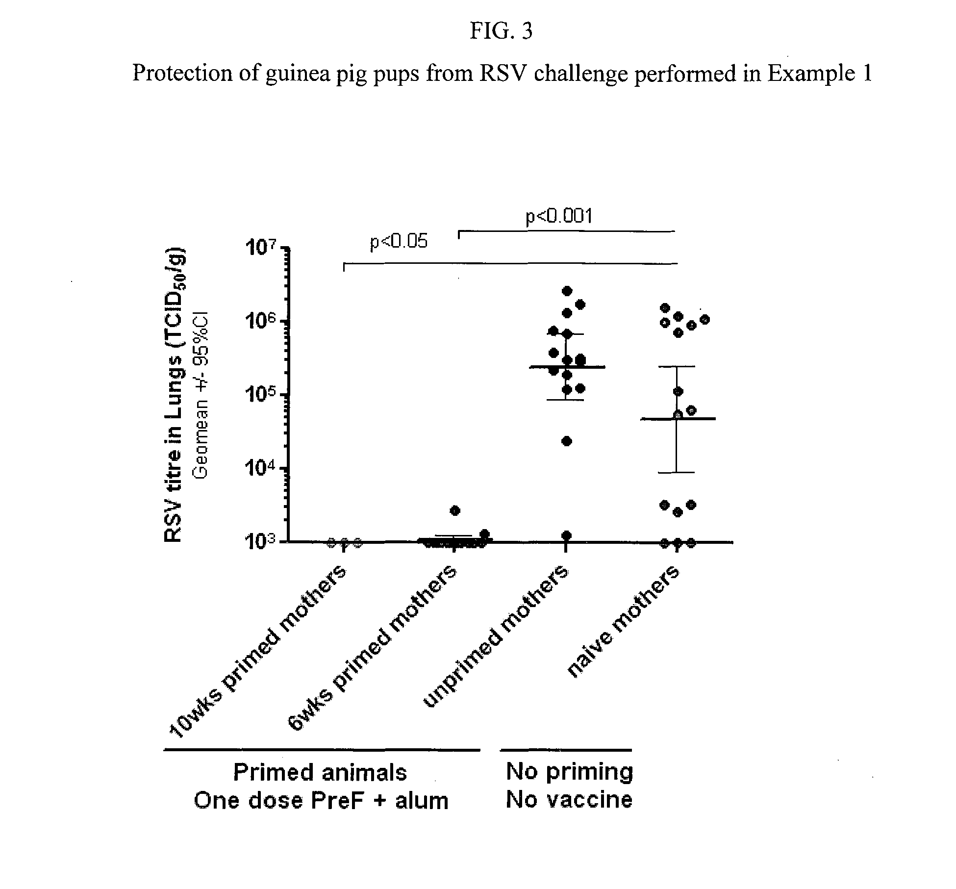 Method for eliciting in infants an immune response against rsv and b. pertussis