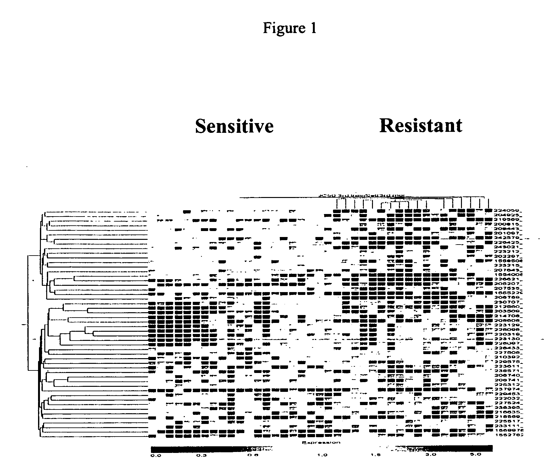 Transcriptome microarray technology and methods of using the same