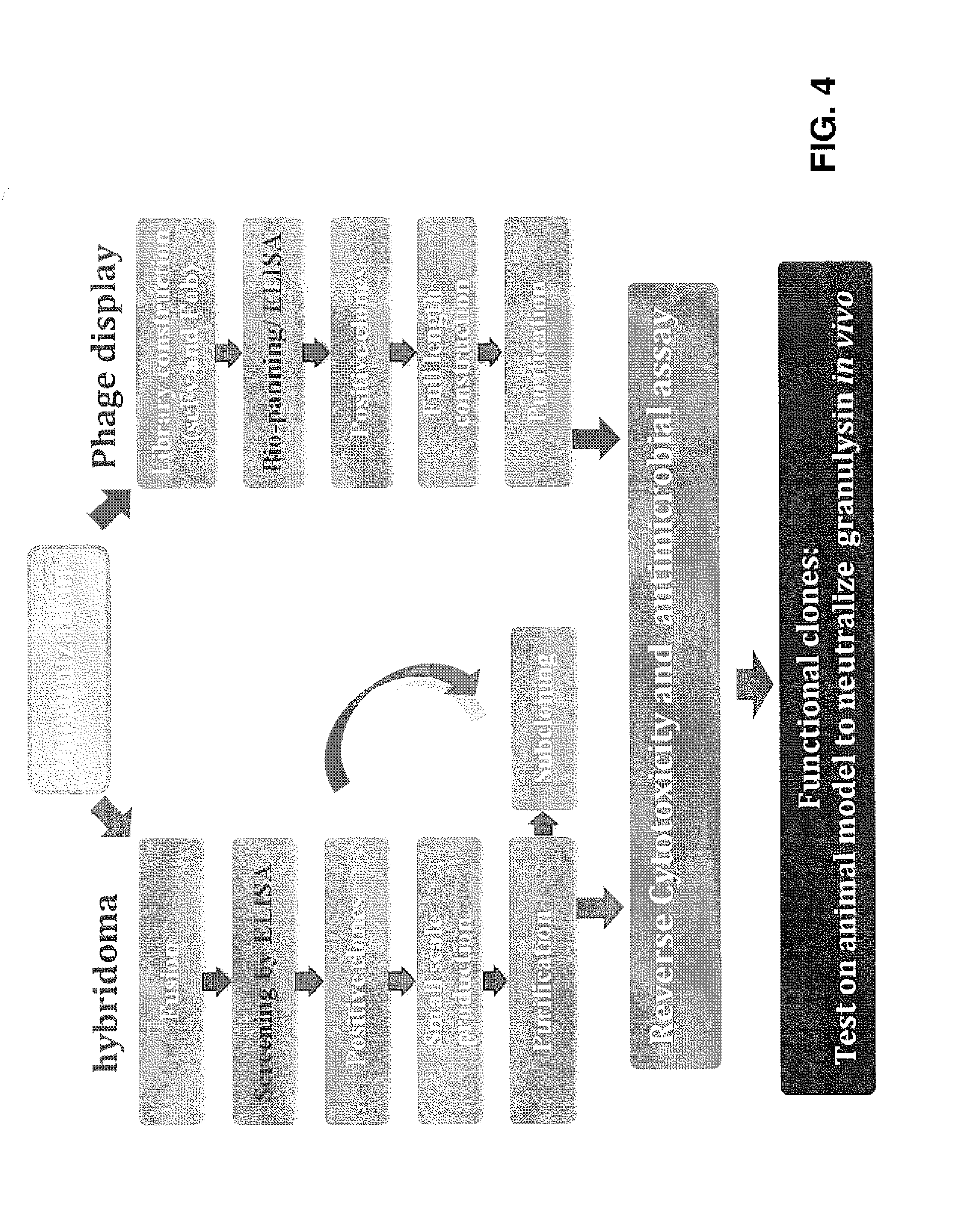 Anti-granulysin antibodies and methods of use thereof