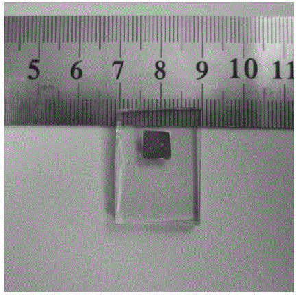 Method for preparing titanium dioxide nano multi-level structure thin film on conductive glass