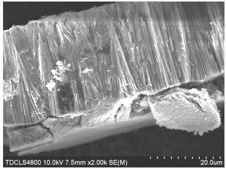 Method for preparing titanium dioxide nano multi-level structure thin film on conductive glass