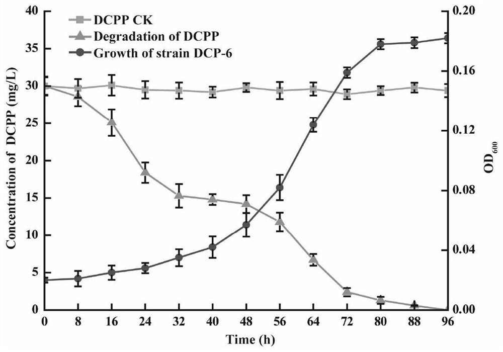 A degrading bacterial strain capable of simultaneously degrading two isomers of the chiral herbicide 2,4-dipropionic acid and the bacterial agent produced thereof