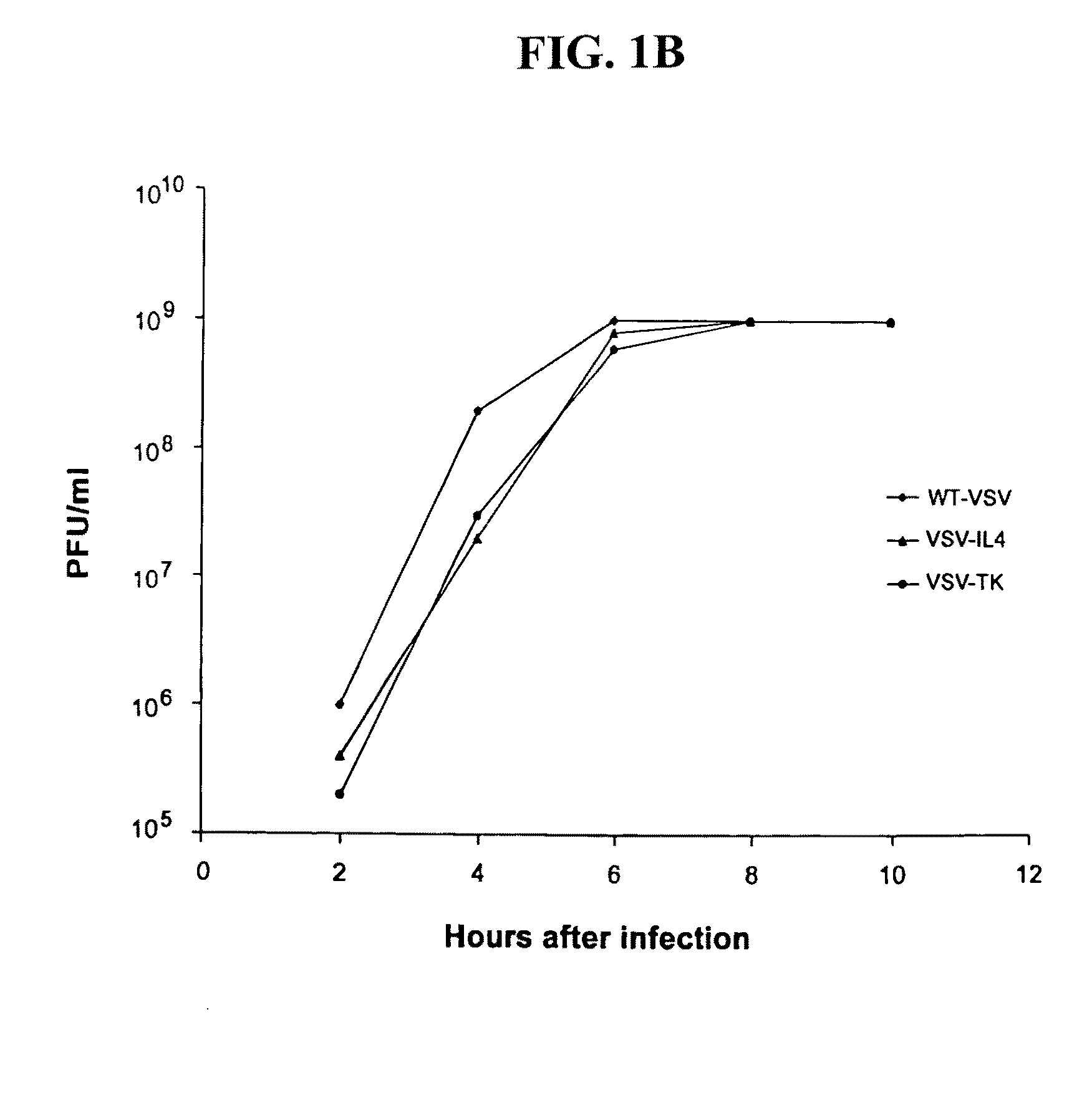 Recombinant VSV For The Treatment of Tumor Cells