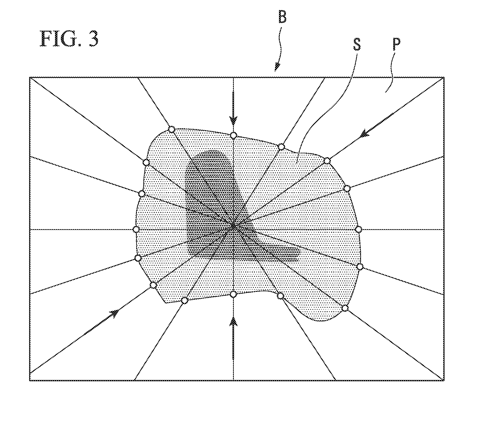 Thin section fabrication apparatus and method of fabricating thin section