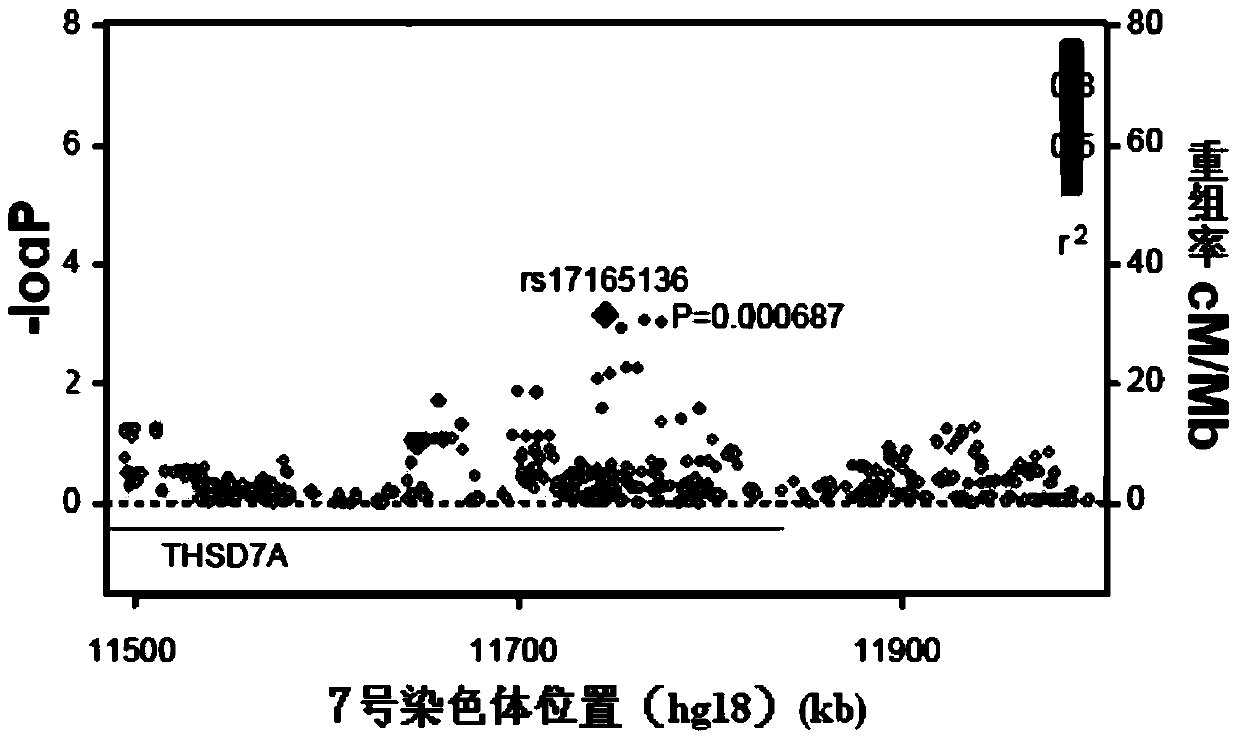 Thsd7a gene sequence and expression change detection and its application in the prediction of coronary heart disease