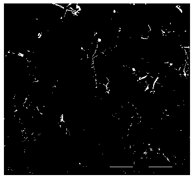 Preparation method of corrosion-resistant double coatings of improved sintered Nd-Fe-B magnet