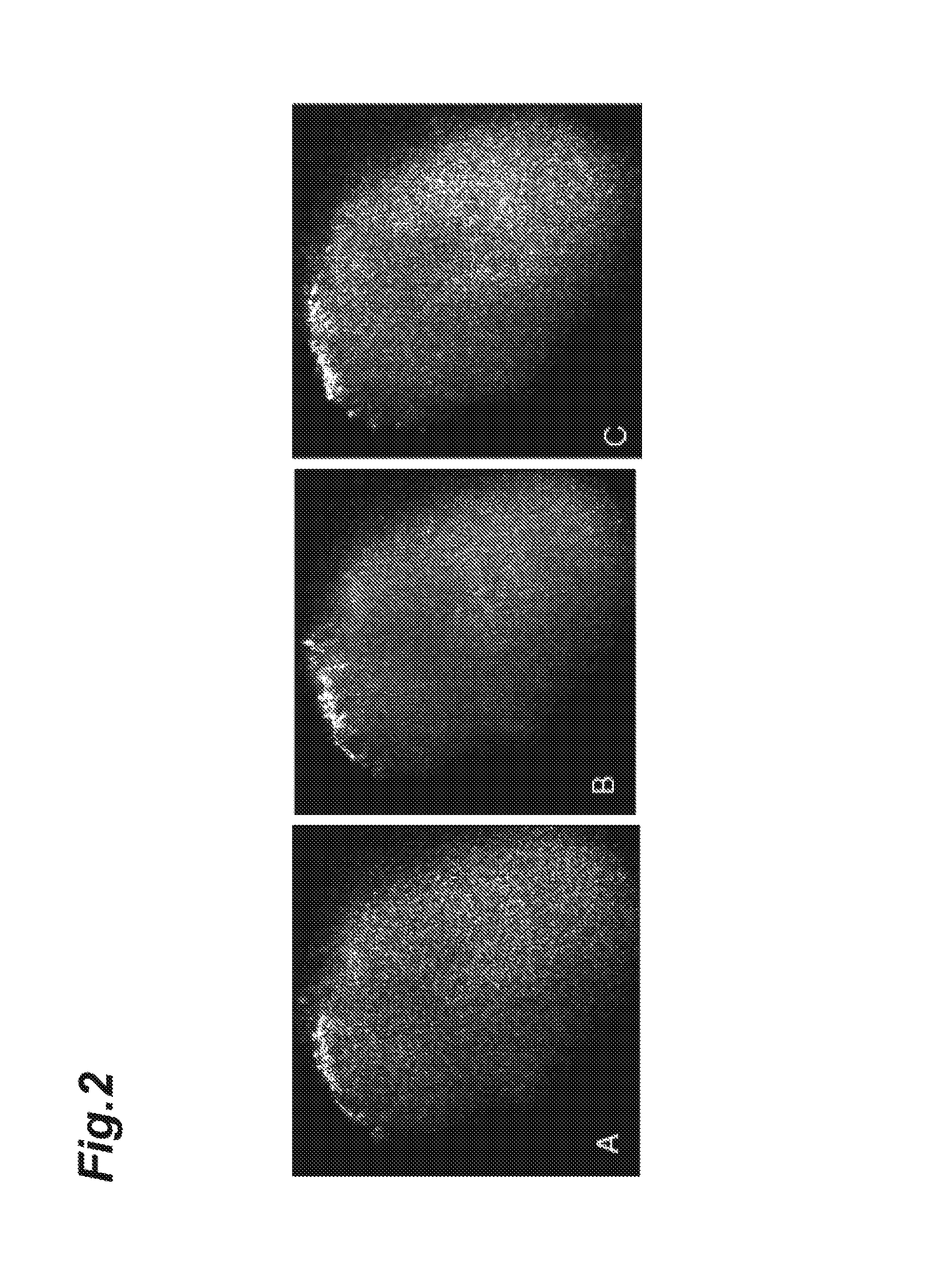 Aggregated cell evaluation method and aggregated cell evaluation device