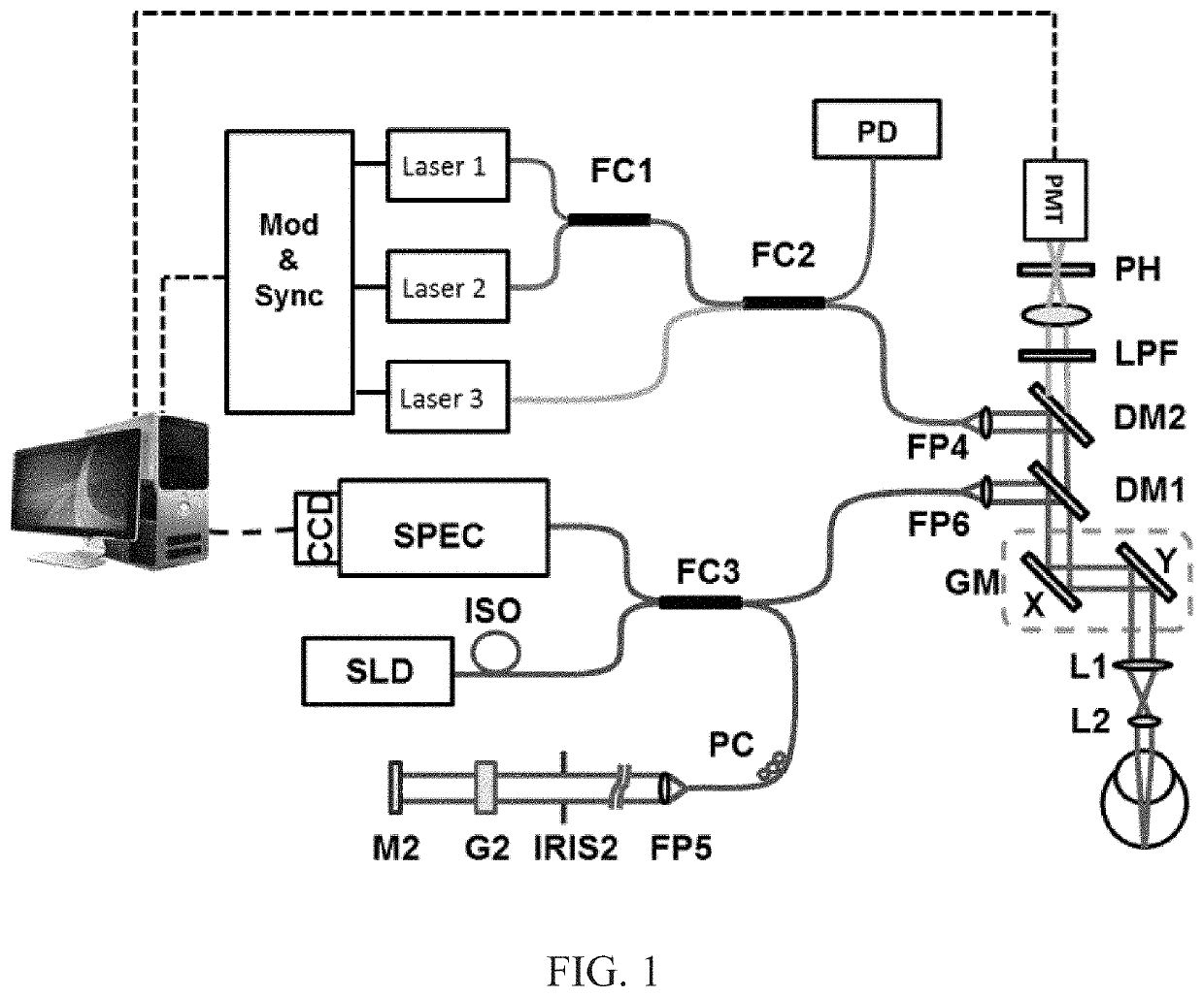 Retinal blood vessel oximetry using retinal auofluorescence