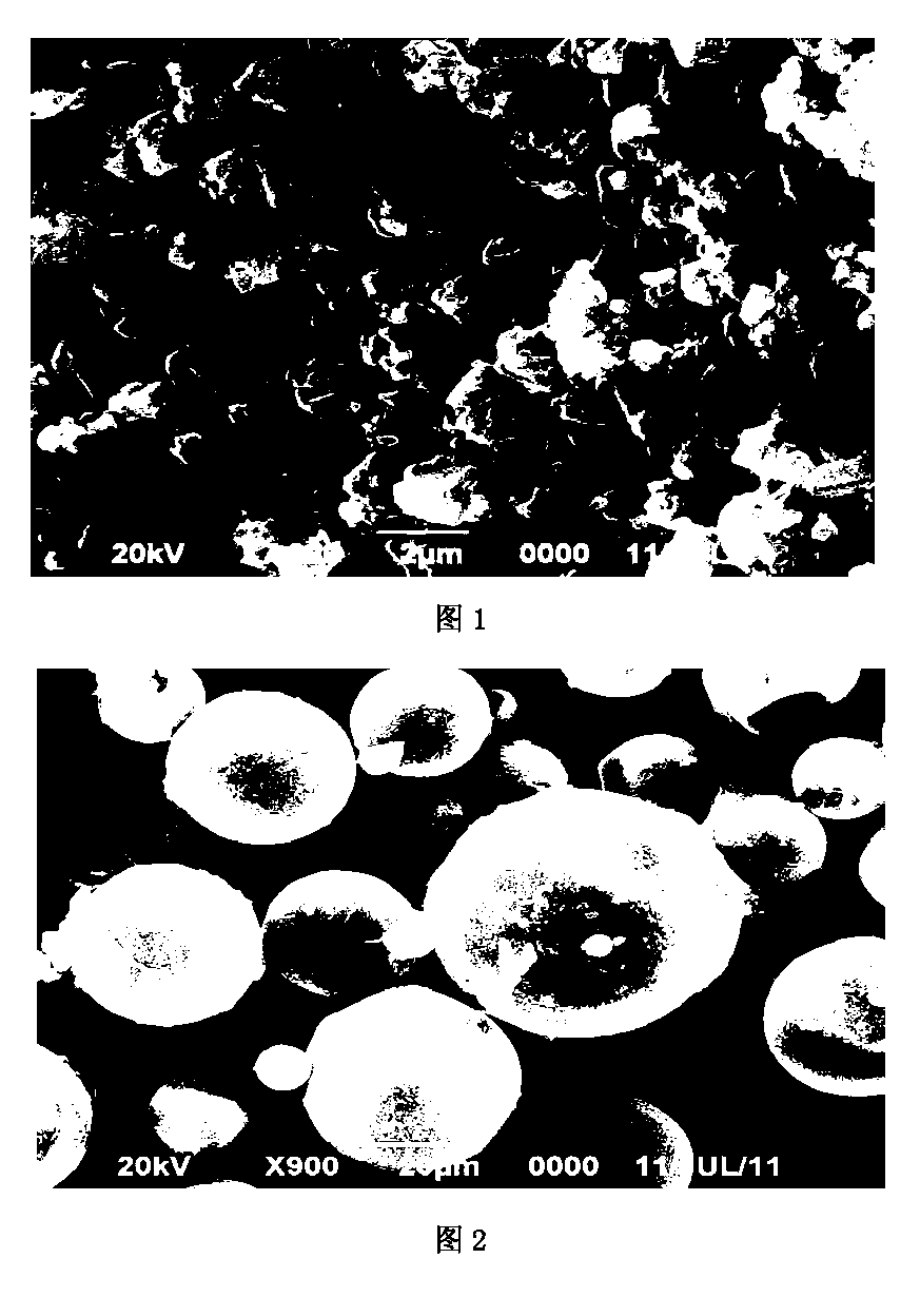 Rifapentine sustained-released microspheres and preparation method thereof