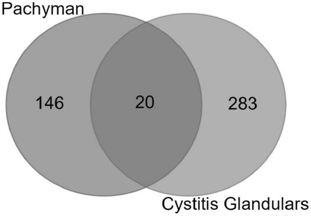 Method for analyzing anti-glandular cystitis action mechanism of pachymaran based on network pharmacology