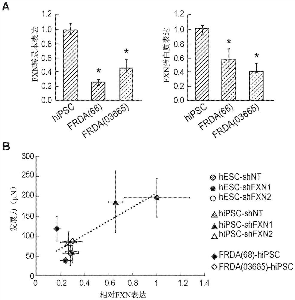 Modeling neurological disorders and ataxias with cardiac dysfunction using bioengineered heart tissues