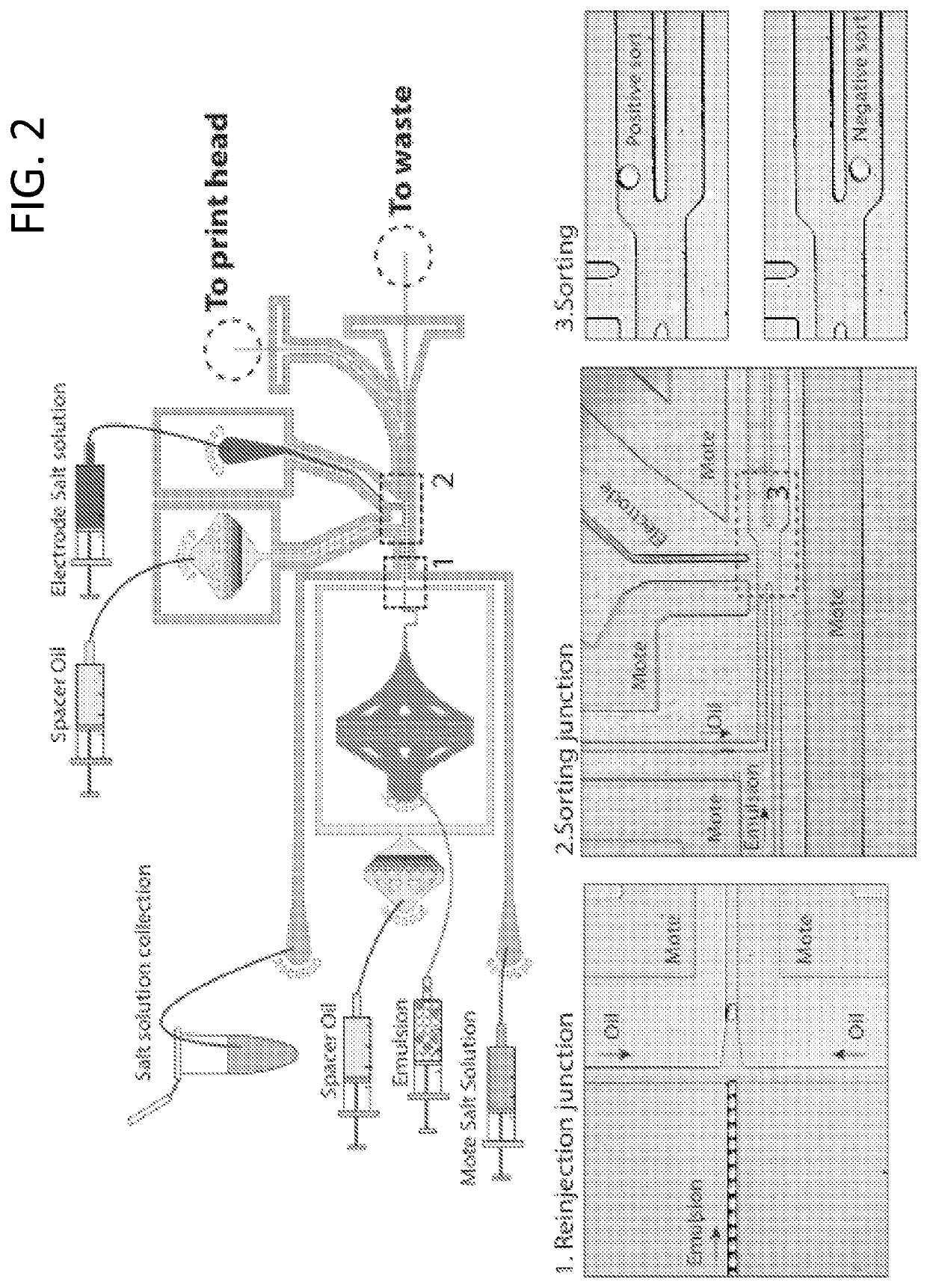 High Definition Microdroplet Printer