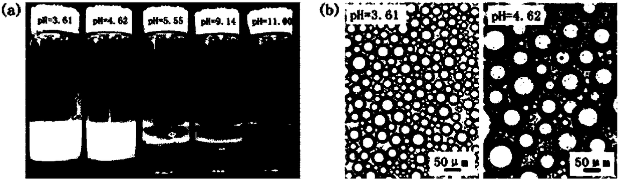 Application of self-assembled micelles of amphiphilic copolymer containing thymine as emulsifier