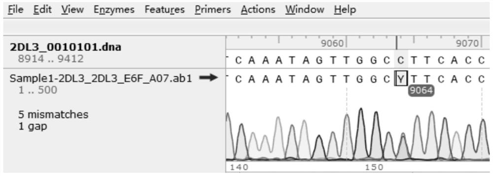 KIR2DL3 gene typing kit and typing method