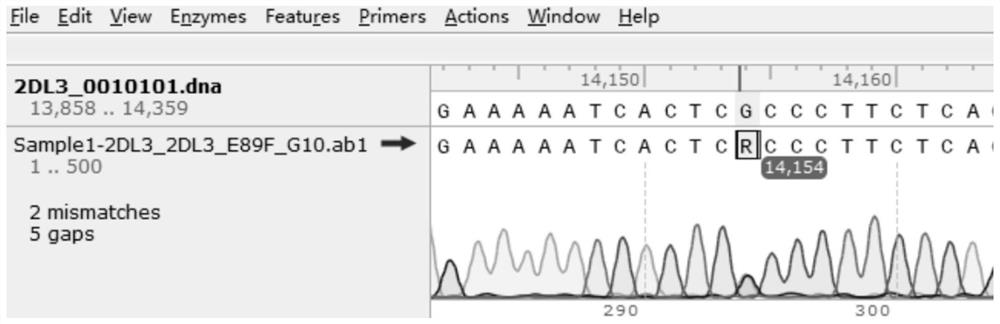 KIR2DL3 gene typing kit and typing method